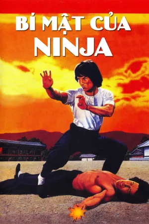 Bí mật của ninja