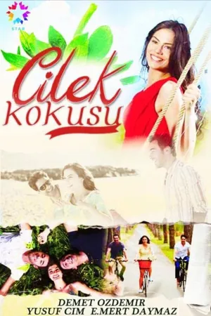 Cilek kokusu